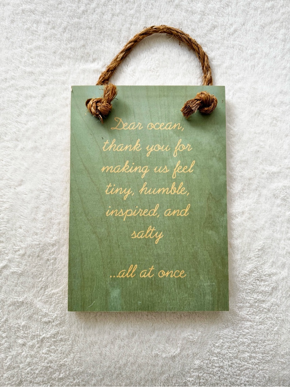 SoHa Living Wood Beach Wall Art